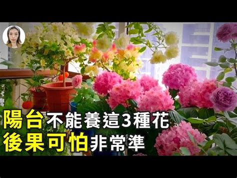 陽台種花招財|【陽台種花招財】風水招財！陽台種花助增財運5秘訣與禁忌